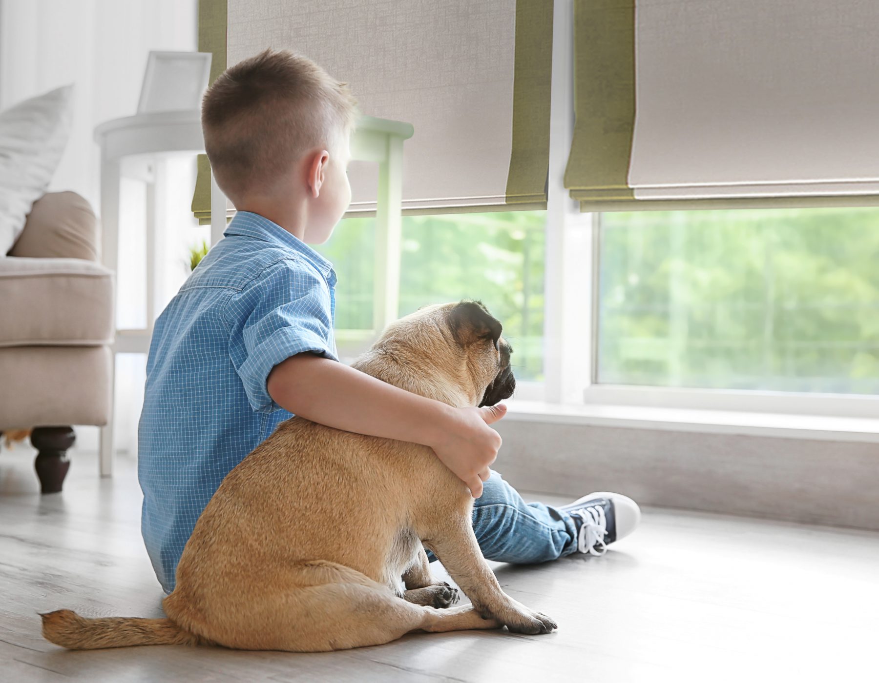 Cordless Roman shades with a boy and a dog
