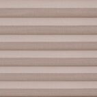 C2105 Nutmeg