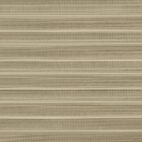 C5003 Wafer